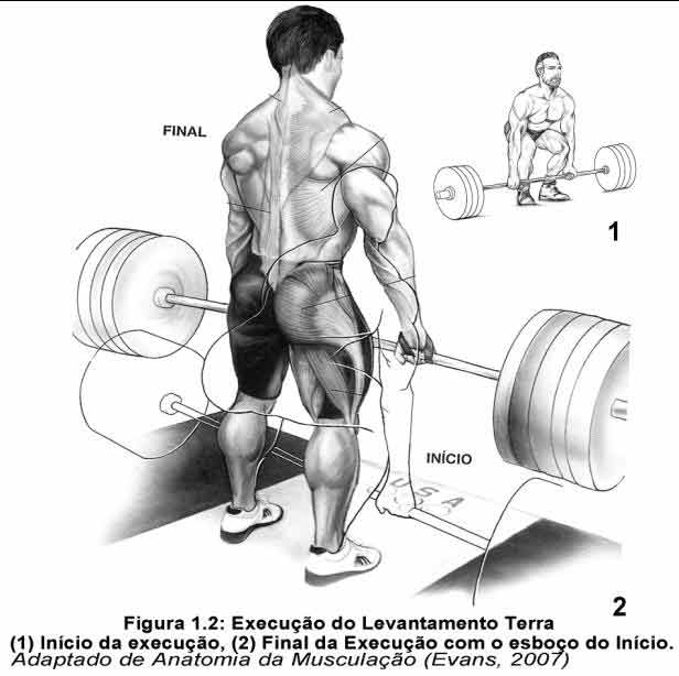 Levantamento terra ou stiff: quais as diferenças entre cada um?