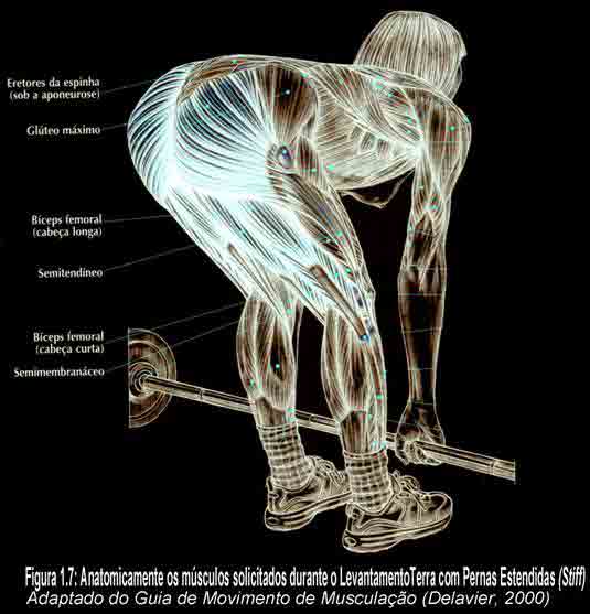 O levantamento terra sumô e o stiff sumô são variações de exercícios q