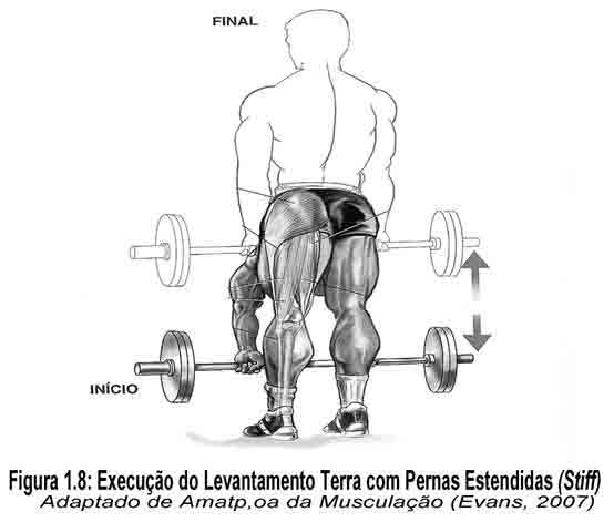 Levantamento terra sumô - Barra livre 